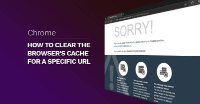 How to clear the browser's Cache for a specific URL / page post image