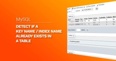 How to find if a specific INDEX NAME / KEYNAME exists in a Table post image