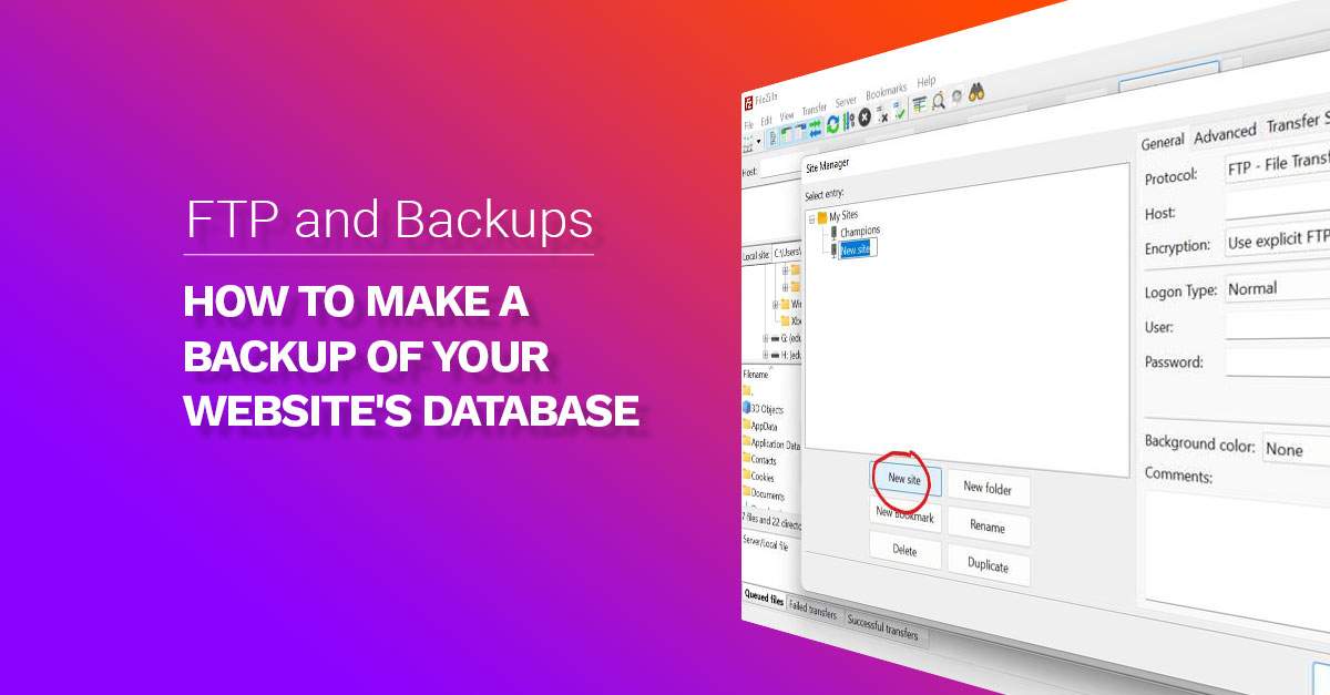 How to Make a Backup of Your Website's Database